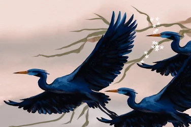 Les oiseaux bleus