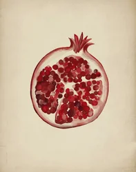 Une grenade rouge juteuse