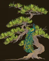 Paon sur une branche de pin