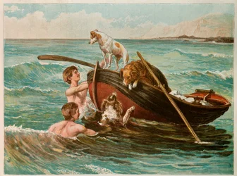 Chiens dans une barque, 20eme siecle (illustration)