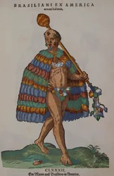 Un Brésilien d
