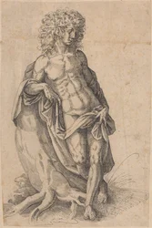 Apollon, vers 1580 (plume et encre)