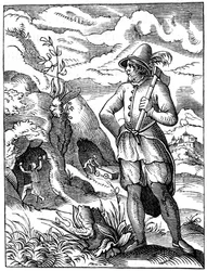 Mineur, 16ème siècle 1849