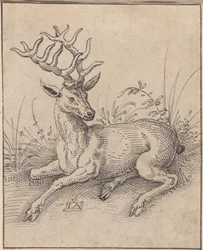Le cerf