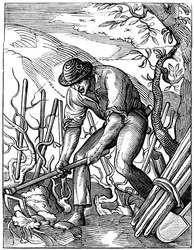 Vigneron, 16ème siècle 1849