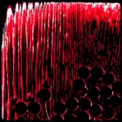 Perles de prière rouges, de la série Misbaha, 2016 (photographie)
