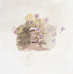 Fleurs de la maison d