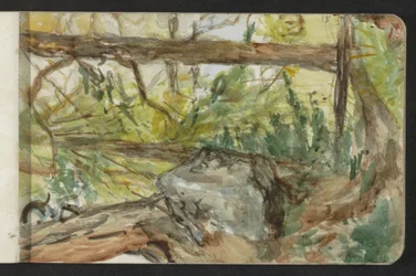 Forêt à Pontresina