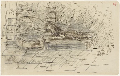 Femme allongée près d