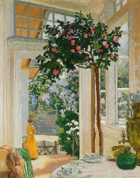 Soleil de mai