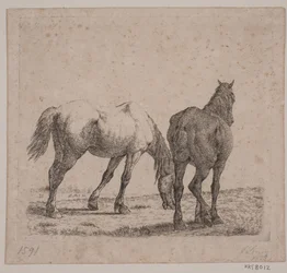 Deux chevaux