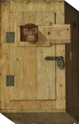 Singe dans une boîte en bois