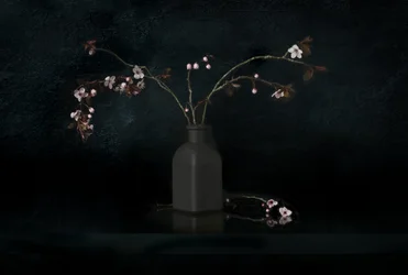 Nature morte aux fleurs de cerisier
