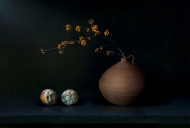 Nature morte sombre aux fruits