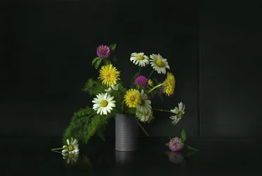 Nature morte aux fleurs sauvages