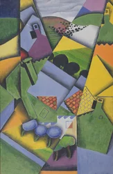 Paysage et maisons à Céret