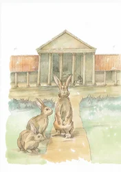 Lapins devant le palais romain de Fishbourne, Fishbourne, Chichester, West Sussex, 2019