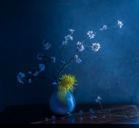 Fleurs bleues et vase