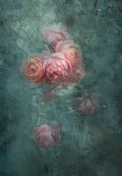 Roses aux teintes douces et mélancoliques