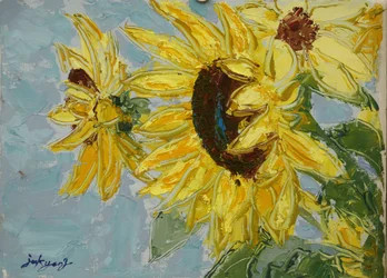 Des tournesols d