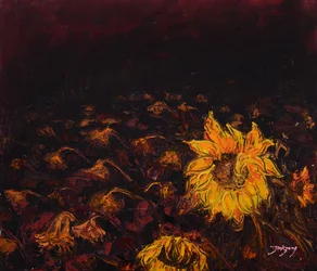 Des tournesols sombres et lumineux