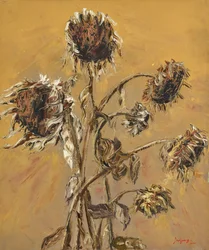 Tournesols d