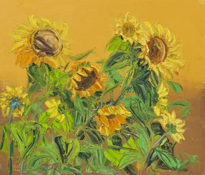 Tournesols dorés