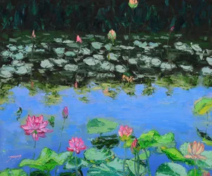 Reflets de lotus rose