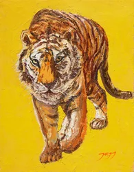 Le tigre à l