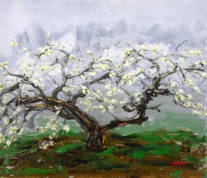 Arbre en fleurs au printemps