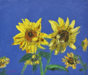 Des tournesols d