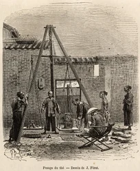 La pesée du thé avant son expédition sur les marchés commerciaux dans une usine de poudre à canon à Fati Bay (province de Canton), gravé d