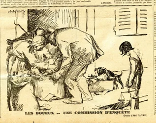 Candide, Satirique en N & B