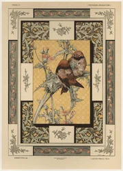 Oiseaux, planche 35 de 