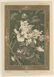 Fleurs, planche 31 de 