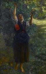 French: Cueilleuse de figues