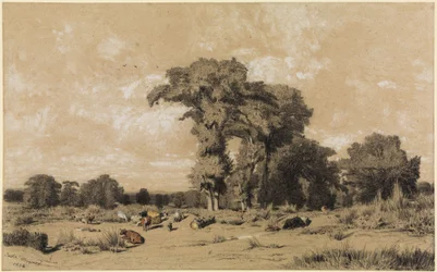 Paysage pastoral dans le Limousin