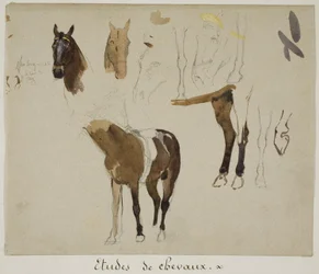 Études de chevaux