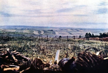 Colline 304 avec des barbelés près de Verdun, septembre 1916
