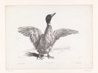 Étude d
