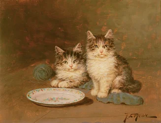 Deux Chatons avec un Bol Vide