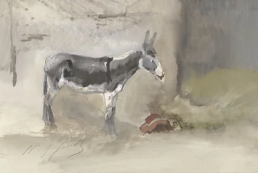 Âne dans une étable