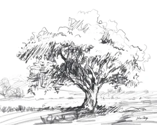 Dessin d