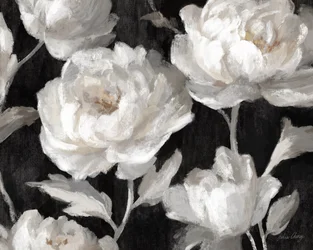 Pivoines blanches sur noir, Julia Cheney