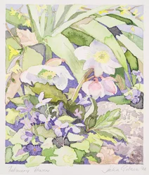 Fleurs de février
