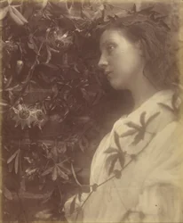 Maud, une larme splendide est tombée de la fleur de la passion à la porte