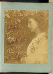 Maud « Une larme splendide est tombée » / « De la fleur de la passion à la porte. »