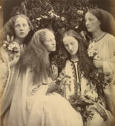 Le jardin de boutons de rose des jeunes filles