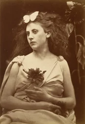 Le Tournesol, début des années 1870 (photo)