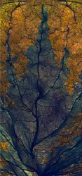 Fenêtre de Coleus, 2008
